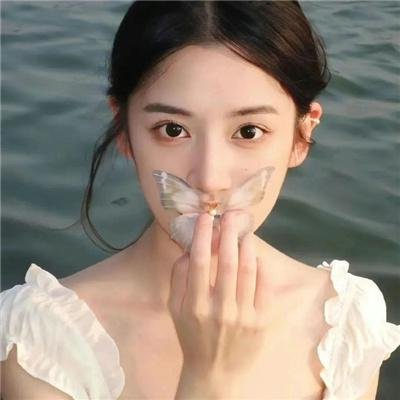 南方的愿望